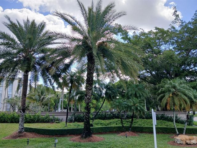 9805 NW 52nd St 509, Doral, FL 33178