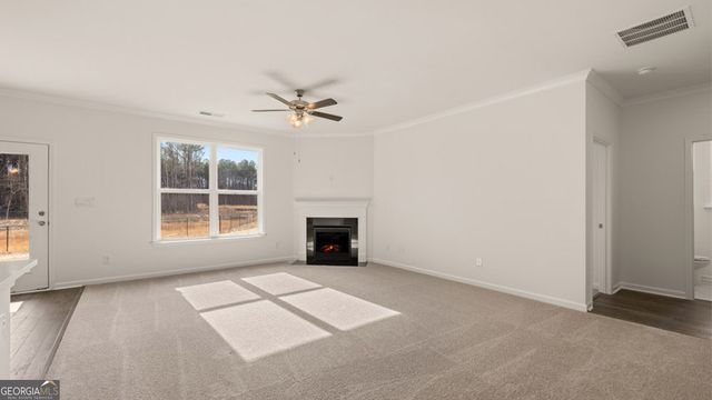 13274 Tolstoy Drive, Covington, GA 30014