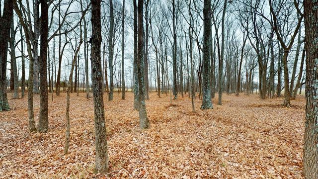 3021 Highway 25, Cottontown, TN 37048