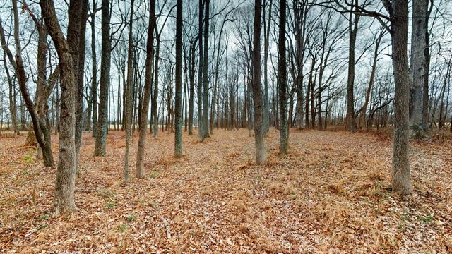 3021 Highway 25, Cottontown, TN 37048