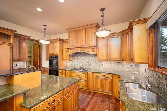 9677 Sara Gulch Circle, Parker, CO 80138