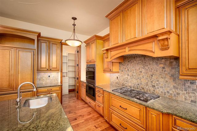 9677 Sara Gulch Circle, Parker, CO 80138