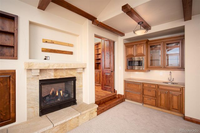 9677 Sara Gulch Circle, Parker, CO 80138