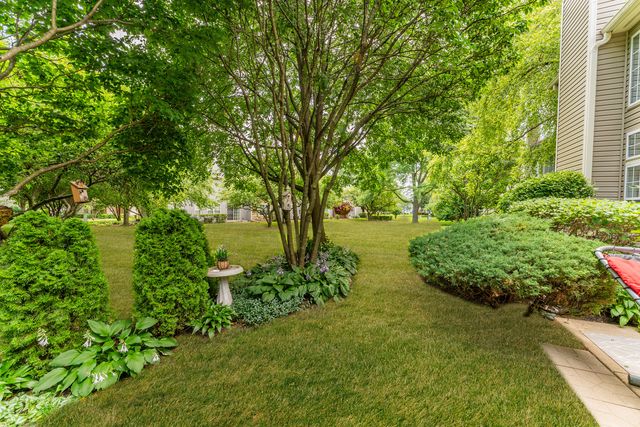 141 crescent Lane 141, Schaumburg, IL 60193