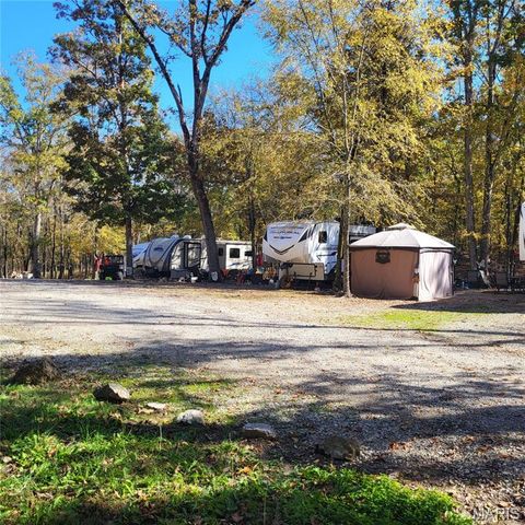46 County Road 511, Wappapello, MO 63966