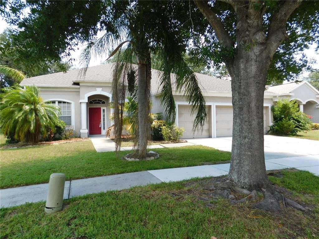 12902 CATTAIL SHORE LANE, Riverview, FL 33579