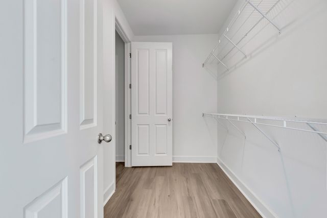 316 Daxton Pl, Spring Hill, TN 37174