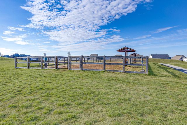 316 Daxton Pl, Spring Hill, TN 37174