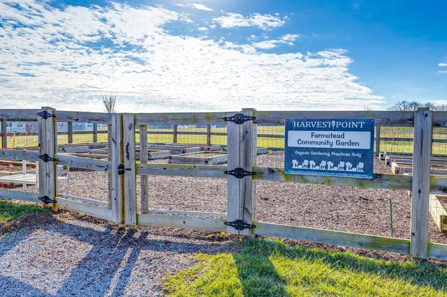 316 Daxton Pl, Spring Hill, TN 37174