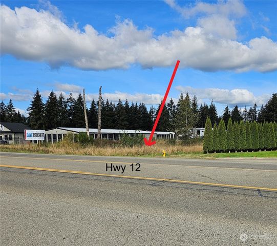 18125 Albany Street SW, Rochester, WA 98579