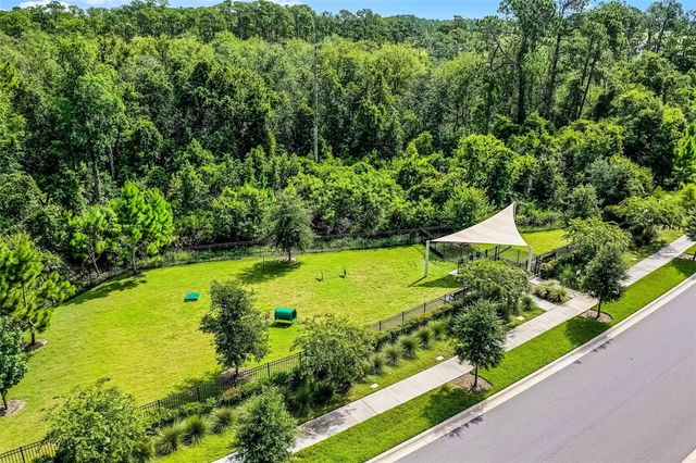 17406 HONEYBELL TANGELO COURT, Winter Garden, FL 34787