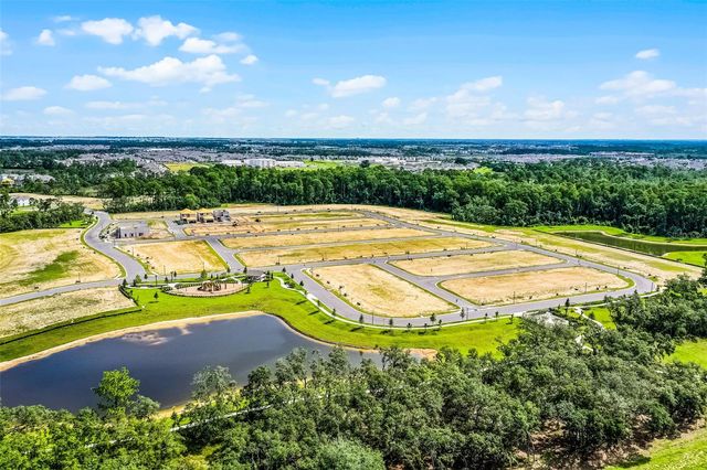 17406 HONEYBELL TANGELO COURT, Winter Garden, FL 34787