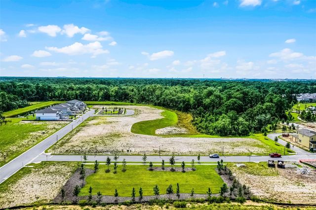 17406 HONEYBELL TANGELO COURT, Winter Garden, FL 34787