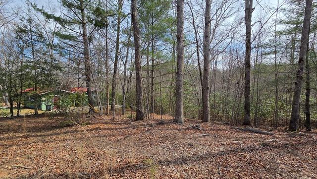 Lot 24 Pine Log Circle, Warne, NC 28909