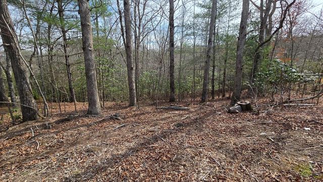 Lot 24 Pine Log Circle, Warne, NC 28909