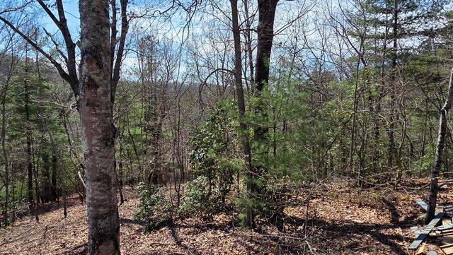 Lot 24 Pine Log Circle, Warne, NC 28909