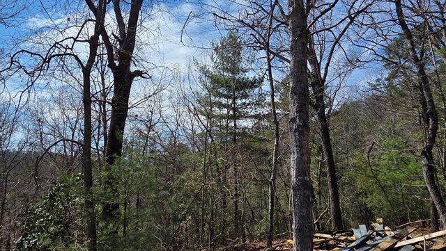 Lot 24 Pine Log Circle, Warne, NC 28909