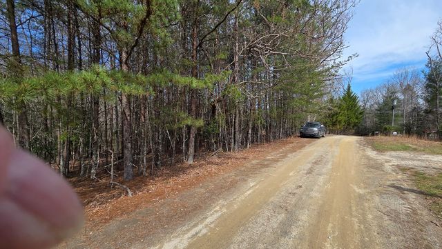 Lot 24 Pine Log Circle, Warne, NC 28909