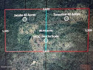 0 NW Camp Head Road, Altha, FL 32421