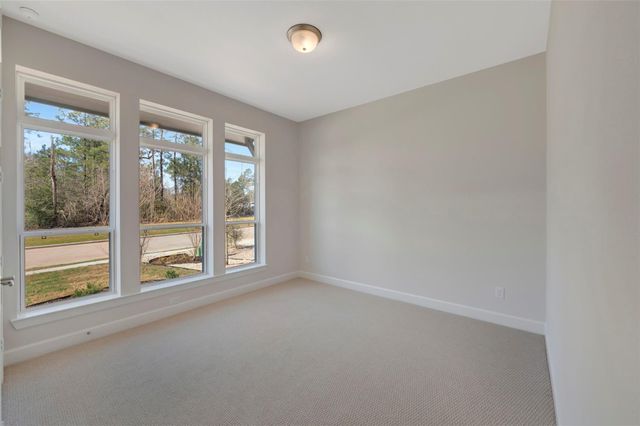 1728 Howler Way, Todd Mission, TX 77316