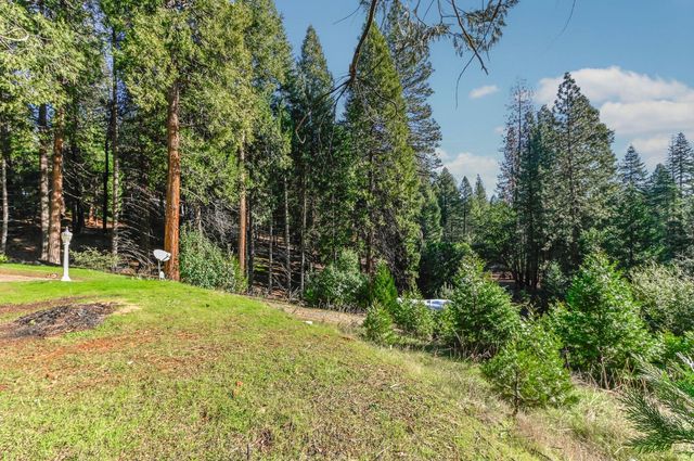 27095 Antelope Dr, Pioneer, CA 95666