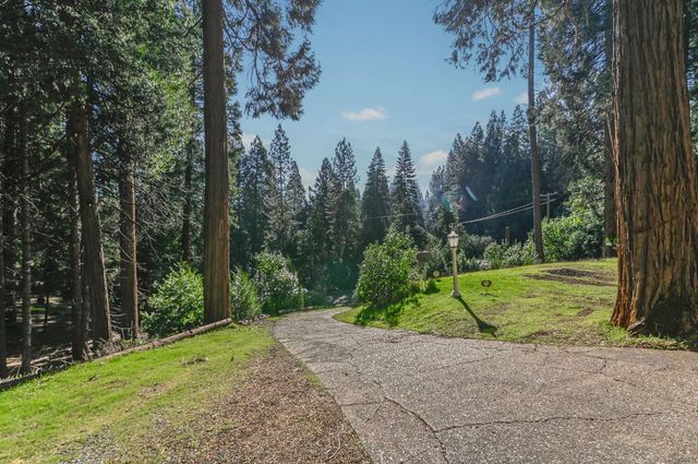 27095 Antelope Dr, Pioneer, CA 95666