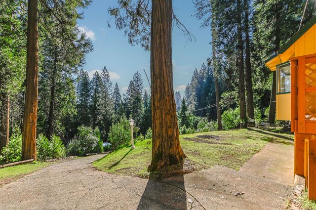 27095 Antelope Dr, Pioneer, CA 95666