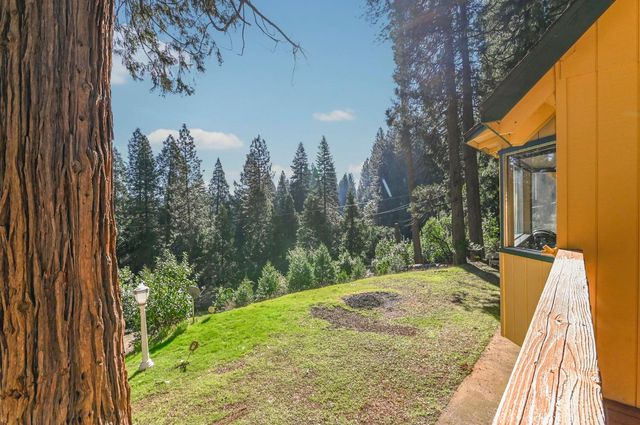 27095 Antelope Dr, Pioneer, CA 95666