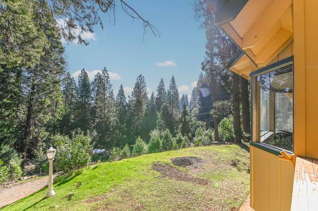 27095 Antelope Dr, Pioneer, CA 95666