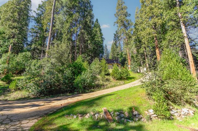 27095 Antelope Dr, Pioneer, CA 95666