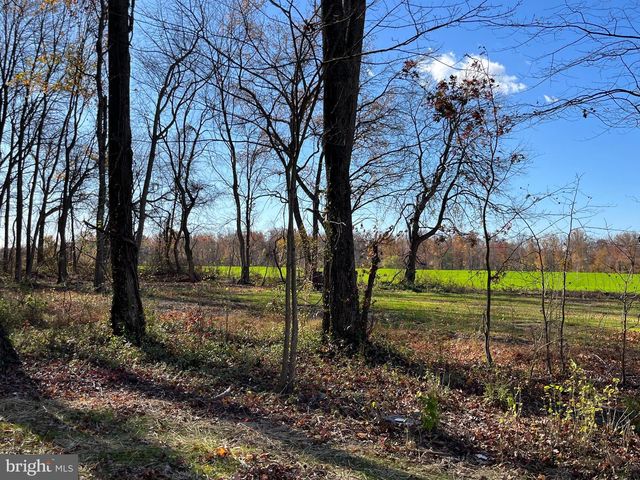 10971 BOTTOM RD, Worton, MD 21678