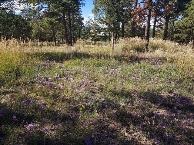 13395 Frank Road, Colorado Springs, CO 80908