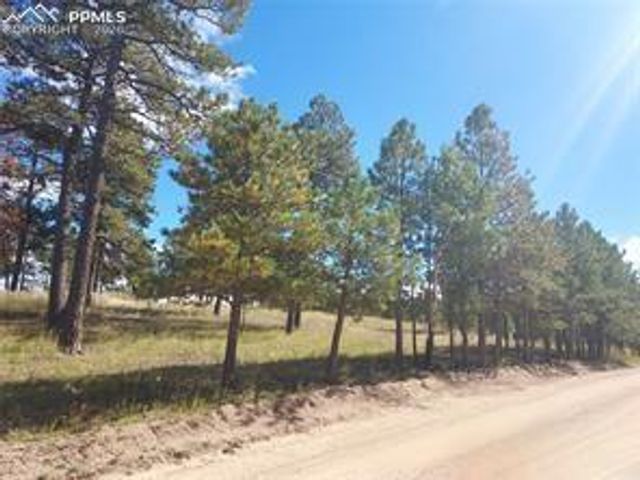 13395 Frank Road, Colorado Springs, CO 80908