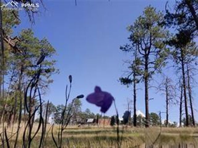 13395 Frank Road, Colorado Springs, CO 80908