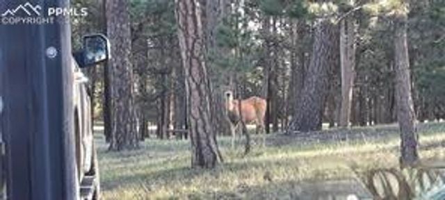 13395 Frank Road, Colorado Springs, CO 80908