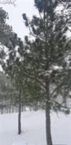 13395 Frank Road, Colorado Springs, CO 80908