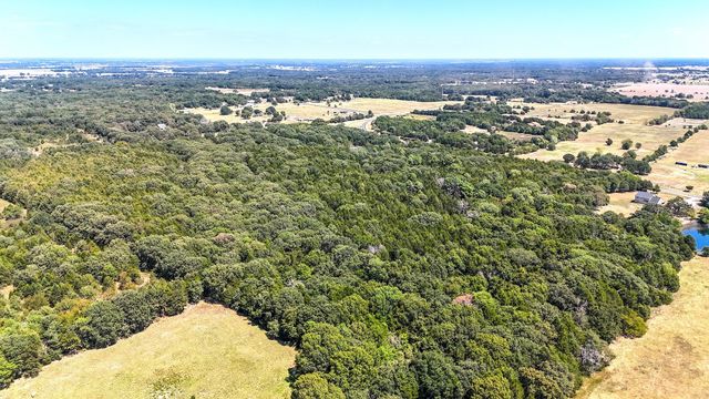 TBD Fm-273, Ivanhoe, TX 75447