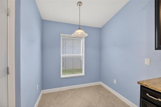13168 GREEN VIOLET DRIVE, Riverview, FL 33579