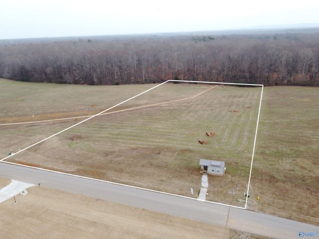 111 Sydney School Way, Hazel Green, AL 35750