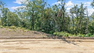Lot 101 Sommet Ridge East, Tazewell, TN 37879