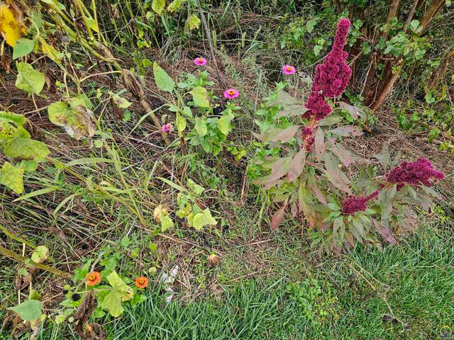 6636 SW Gisbourne CT, Topeka, KS 66614