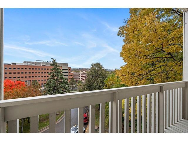 311 Pleasant Avenue 301, Saint Paul, MN 55102