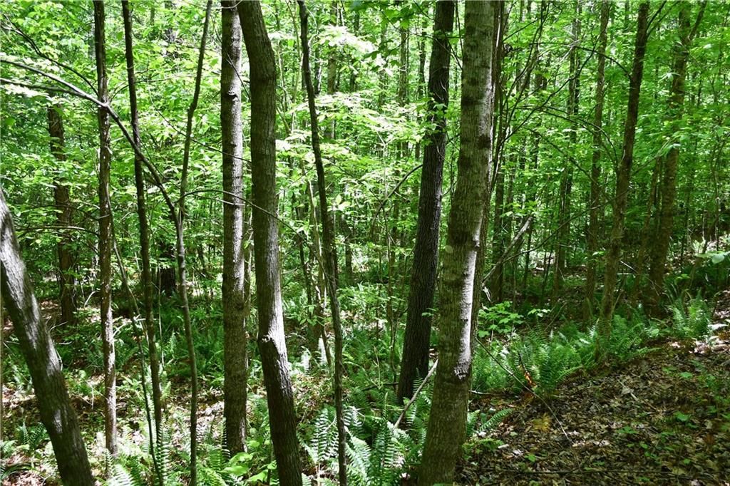 Image 11 of property listing at 00001 Wilson Road, Temple, GA 30179