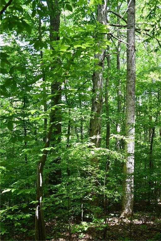 Image 12 of property listing at 00001 Wilson Road, Temple, GA 30179