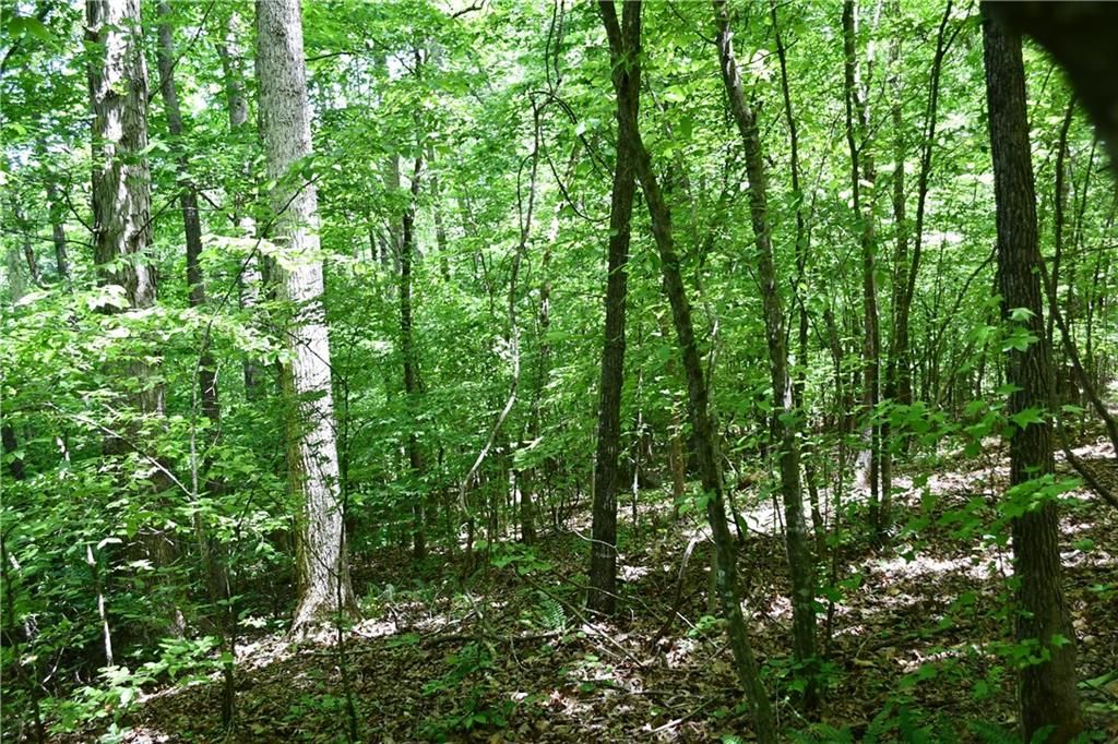 Image 13 of property listing at 00001 Wilson Road, Temple, GA 30179