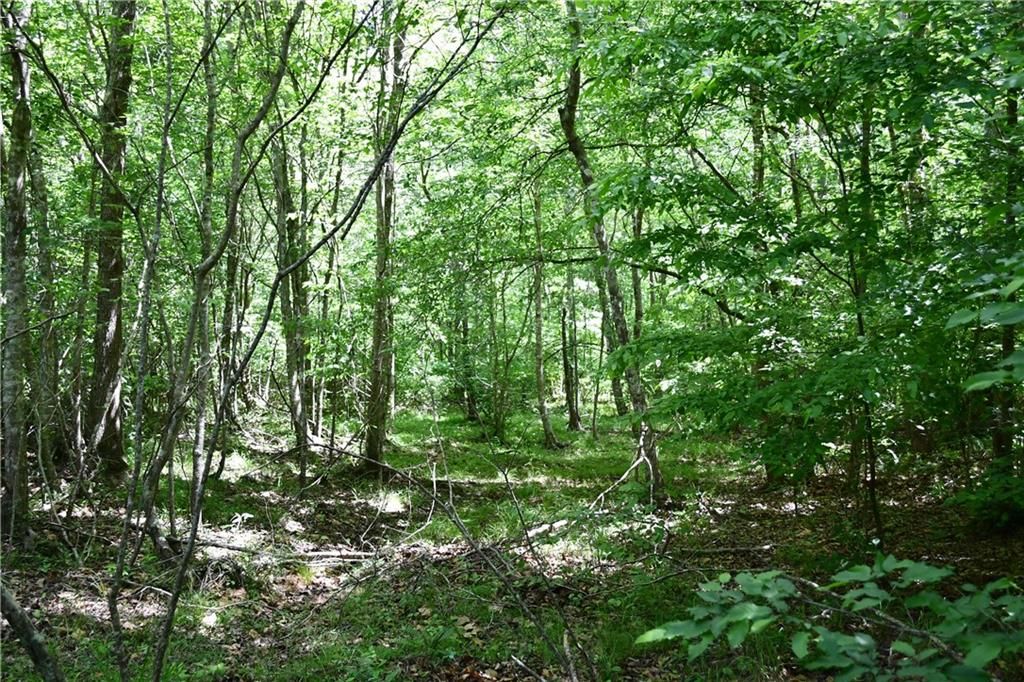 Image 14 of property listing at 00001 Wilson Road, Temple, GA 30179