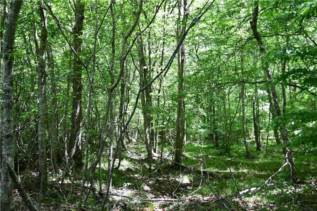 Image 15 of property listing at 00001 Wilson Road, Temple, GA 30179
