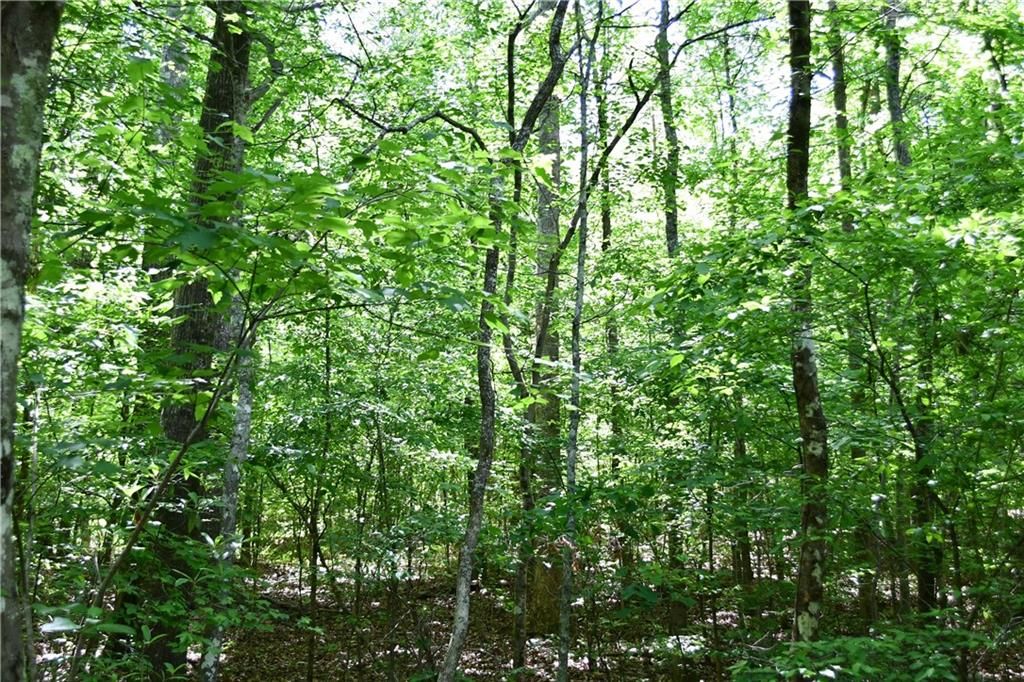 Image 17 of property listing at 00001 Wilson Road, Temple, GA 30179