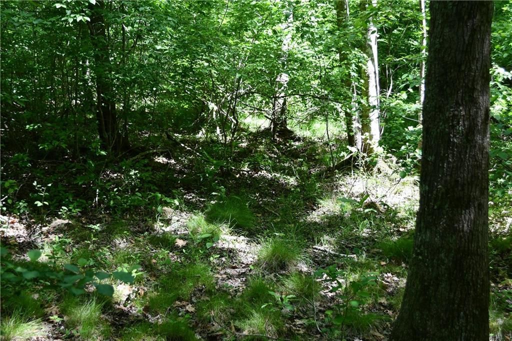 Image 18 of property listing at 00001 Wilson Road, Temple, GA 30179