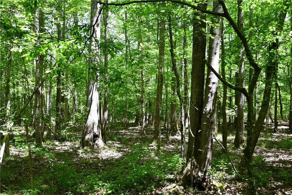 Image 20 of property listing at 00001 Wilson Road, Temple, GA 30179
